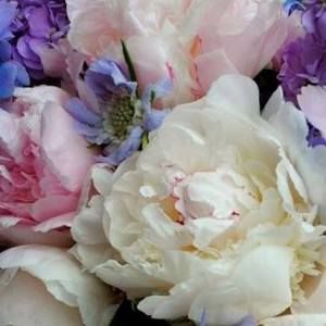 Meet your Posher, Martha